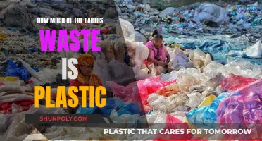 The Earth's Plastic Problem: Understanding Our Waste