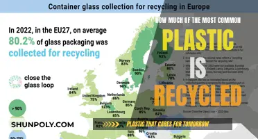 The Reality of Recycling: Common Plastics' Fate