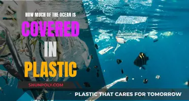 Plastic in Our Oceans: A Global Crisis