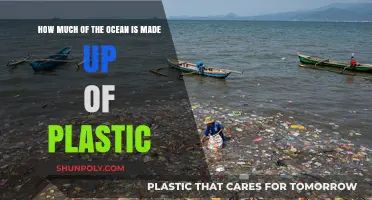 The Alarming Truth: Plastic's Impact on Our Oceans Revealed