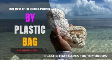 Plastic Bag Pollution: Unveiling the Ocean's Silent Crisis
