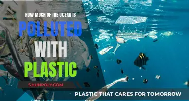 The Ocean's Plastic Pollution Crisis: A Global Emergency