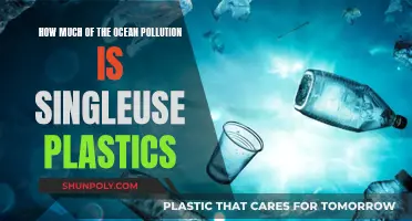 The Ocean's Plastic Problem: Single-Use Pollution Crisis