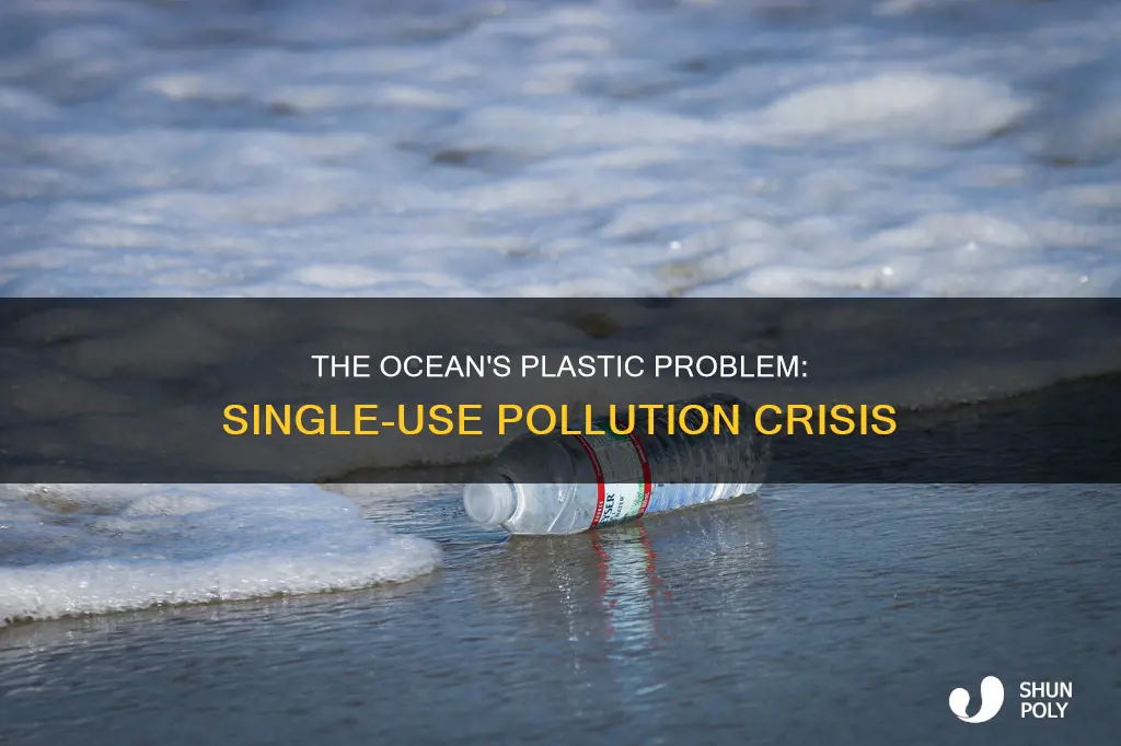 how much of the ocean pollution is singleuse plastics