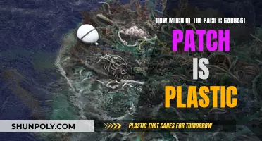 The Pacific Garbage Patch: A Plastic Disaster