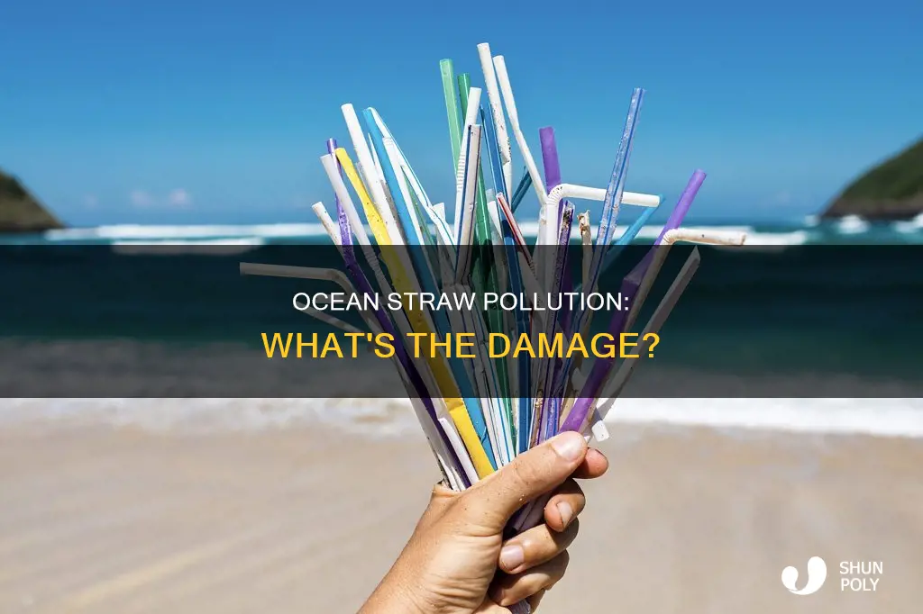 how much of the plastic in the ocean is straws