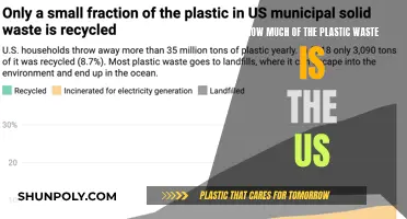 US Plastic Waste: A Troubling Environmental Concern