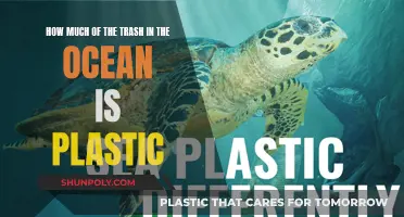 The Ocean's Plastic Problem: Understanding Marine Pollution