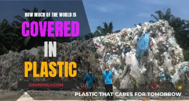 Plastic Pollution: Global Coverage and its Consequences