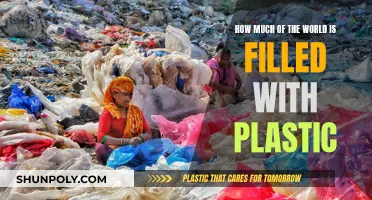 Plastic Pollution: A Global Crisis of Plastic-Filled World