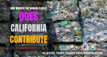 California's Plastic Footprint: Global Impact and Responsibility