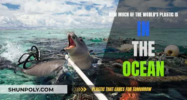 Plastic Pollution: Ocean's Plastic Crisis Explored