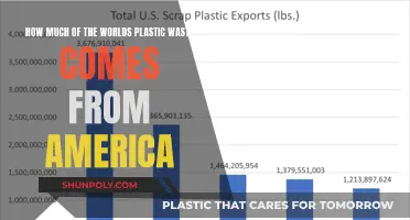 Plastic Waste: America's Contribution to Global Crisis