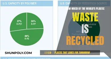 The Surprising Truth: Only a Fraction of Plastic Waste is Recycled