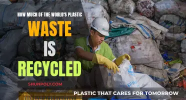 The Plastic Problem: World's Recycling Efforts Examined