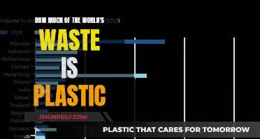 Plastic Pollution: Global Waste Crisis