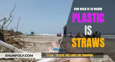 Plastic Straws: How Much Do They Pollute Our Oceans?