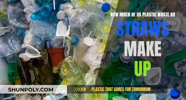 Plastic Straws: What's Their Impact on Our Environment?