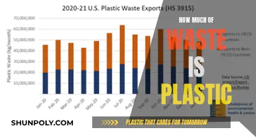 The Plastic Problem: Understanding Our Waste's Composition