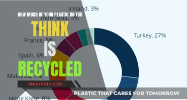 Unveiling the Plastic Recycling Myth: Are We Recycling Enough?