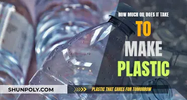 The Plastic-Oil Nexus: How Much Oil for Plastic?