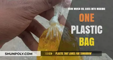 The Hidden Oil Cost of a Single Plastic Bag