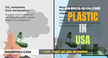 The US Plastic Industry's Oil Consumption