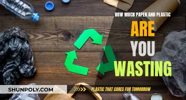 Paper and Plastic Waste: How Much Do You Contribute?