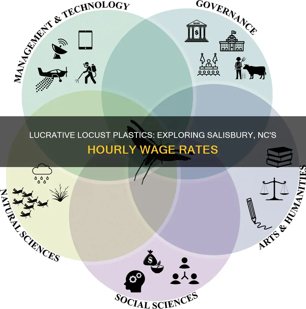 how much per hour does locust plastics salisbury nc