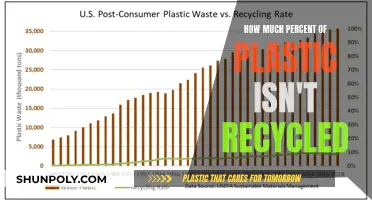 The Dark Truth of Unrecycled Plastics