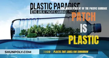 The Pacific's Plastic Plague: Understanding the Garbage Patch