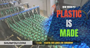 The Ubiquitous PET Plastic: How Much Is Being Produced?