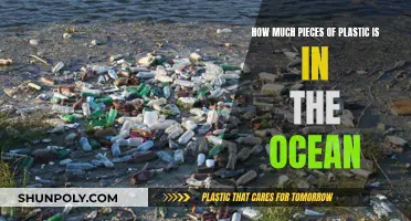 The Ocean's Plastic Problem: An Enormous, Growing Crisis