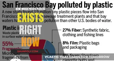 The Plastic Crisis: Counting Our Toxic Legacy