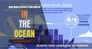 The Ocean's Plastic Problem: An Annual Tragedy