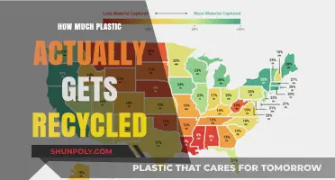 Unveiling the Truth: How Much Plastic Really Gets Recycled?