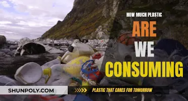 The Plastic We Eat: An Unseen Health Crisis