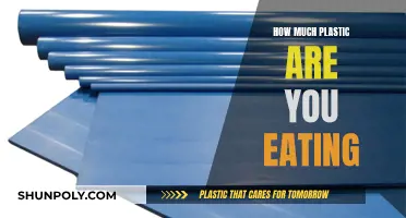 The Plastic Diet: What You Eat and Don't Know