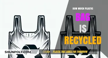 The Truth About Plastic Bag Recycling: How Much is Actually Recycled?