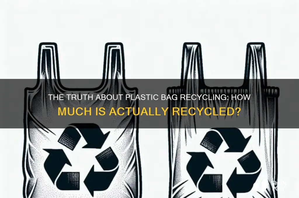 how much plastic bag is recycled