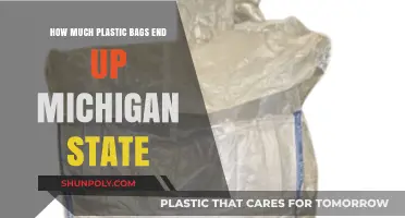 Michigan's Plastic Bag Crisis: Tracking Waste in the Great Lakes State