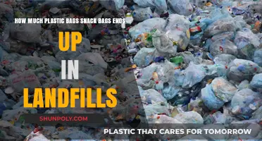 Plastic Bag and Snack Bag Waste: Landfill Impact Revealed