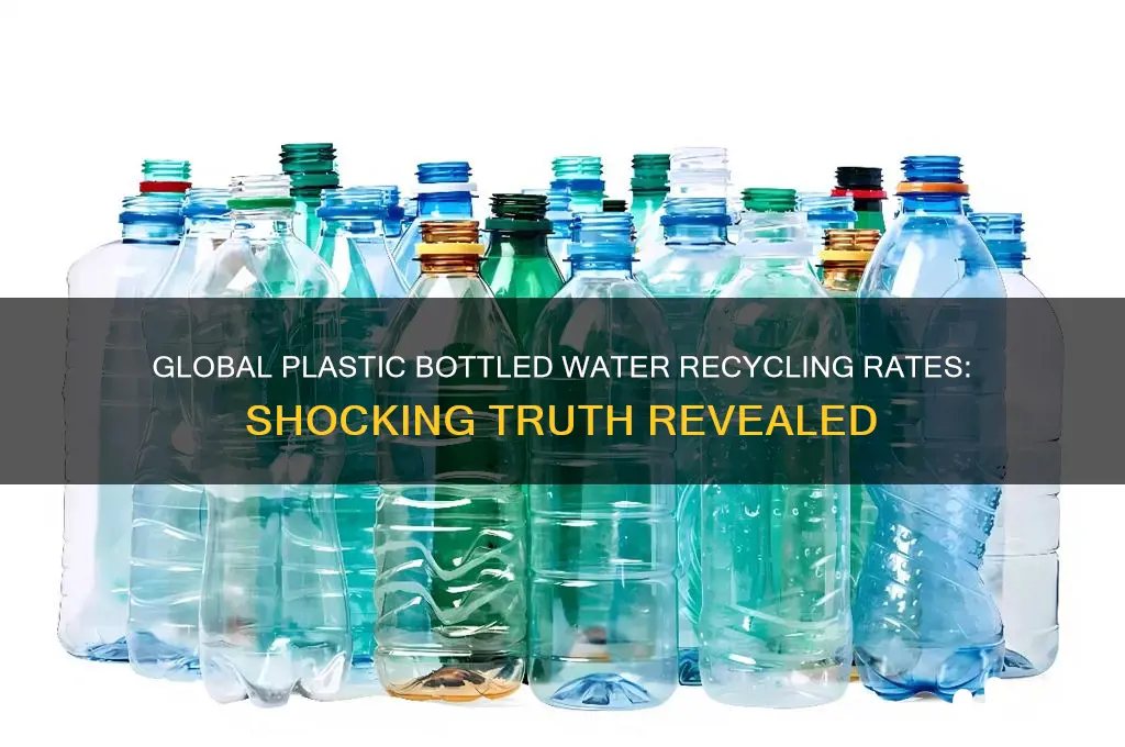 how much plastic bottled water is recycled in the world