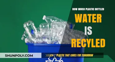 Recycling Reality: The Fate of Plastic Bottled Water Explained