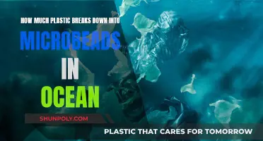 Microbeads: Ocean Plastic's Hidden Breakdown