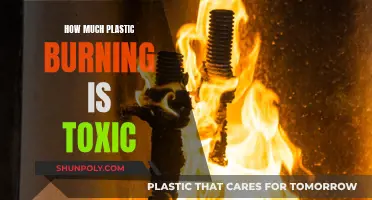 Plastic Burning: Toxicity and Health Hazards Explained