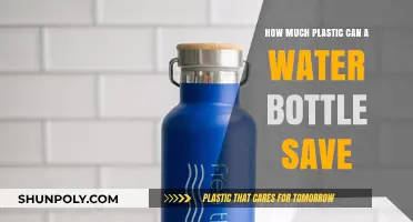 Switching to Reusable Water Bottles: Reducing Plastic Waste Effectively
