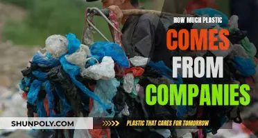 Corporate Plastic Production: A Troubling Truth