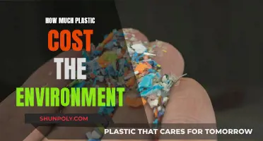 Plastic's Environmental Cost: A Global Crisis