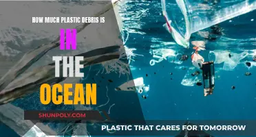 The Ocean's Plastic Crisis: Understanding the Devastating Impact